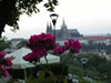 photo/praguetour02.jpg